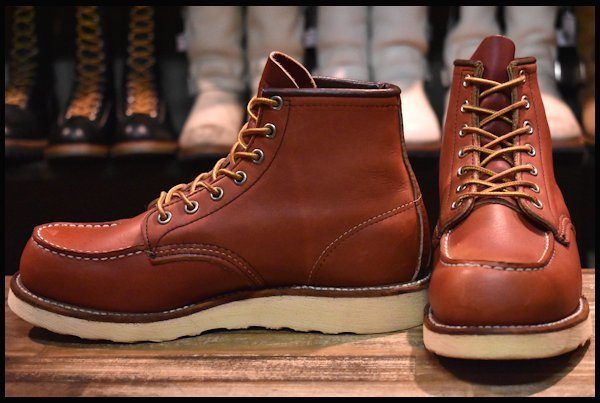 ワイズEREDWING アイリッシュセッター 8131