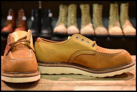 【7D 箱付 未使用 アローズ別注 13年】レッドウィング 8098 スエード オックスフォード モック 短靴 ローカット ブーツ redwing HOPESMORE