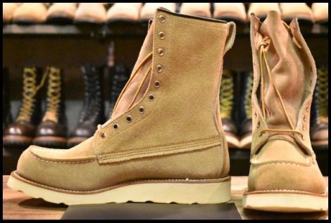 【8D DEAD 犬タグ フジワラヒロシコレクション】レッドウィング アイリッシュセッター スエード ブーツ 877 8173 HUMANMADE HOPESMORE